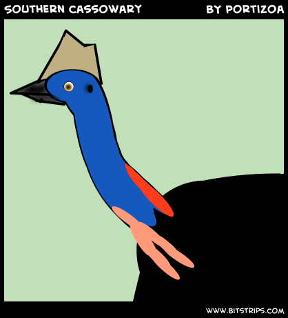 Southern cassowary