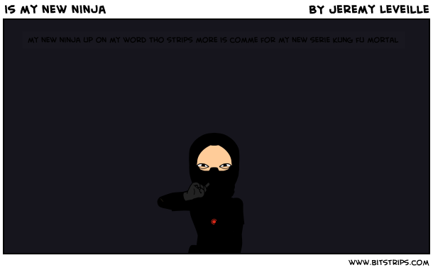 is my new ninja