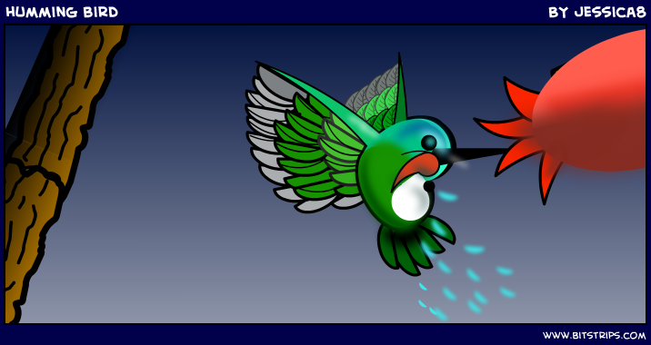 humming bird