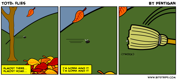 TotD: Flies