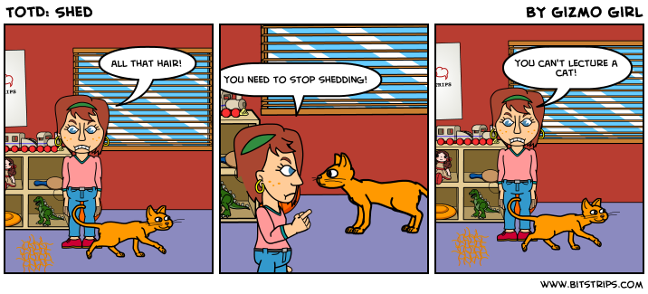 TotD: Shed
