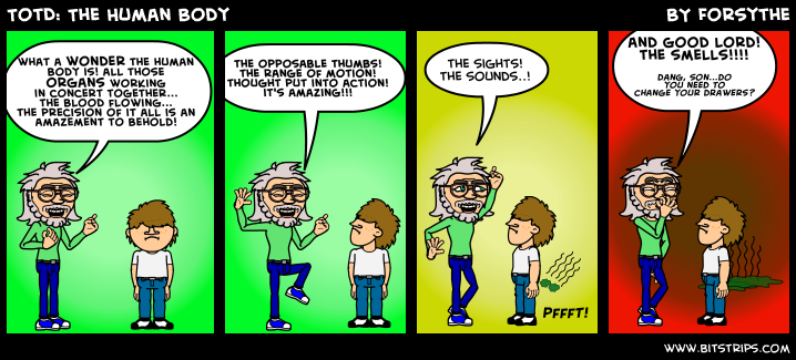 TotD: The Human Body