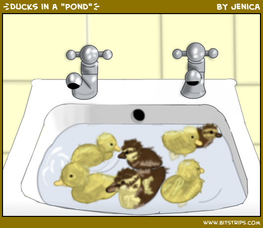 {Ducks in a "Pond"}