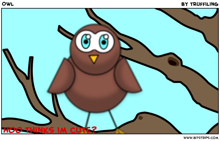 Owl