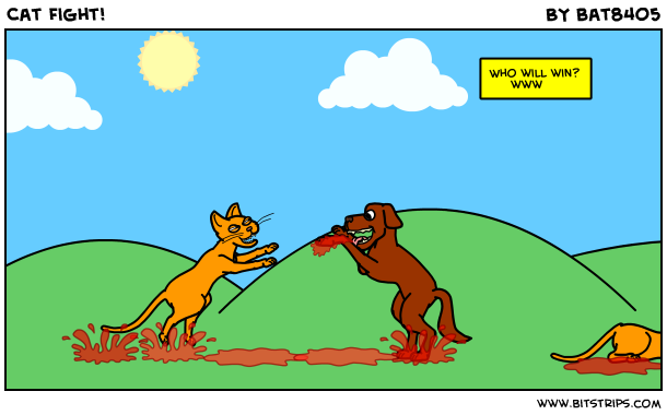 Cat Fight!