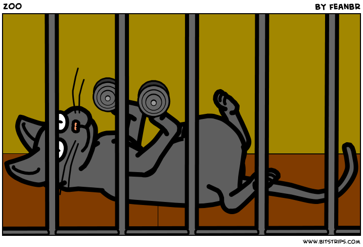ZOO