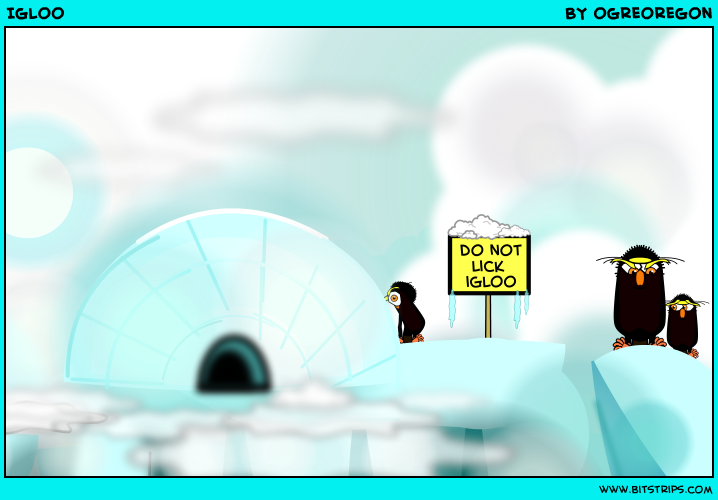 Igloo 