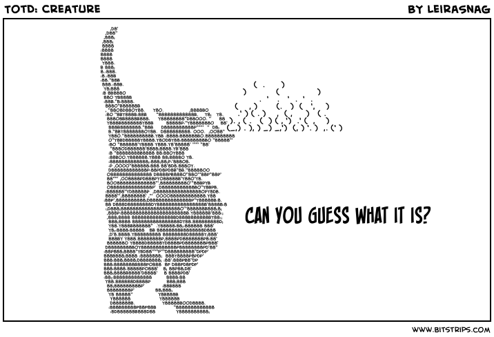 TotD: Creature