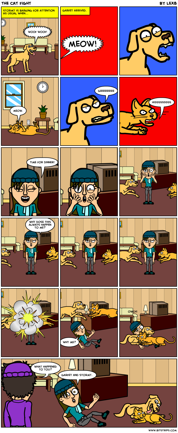 the cat fight