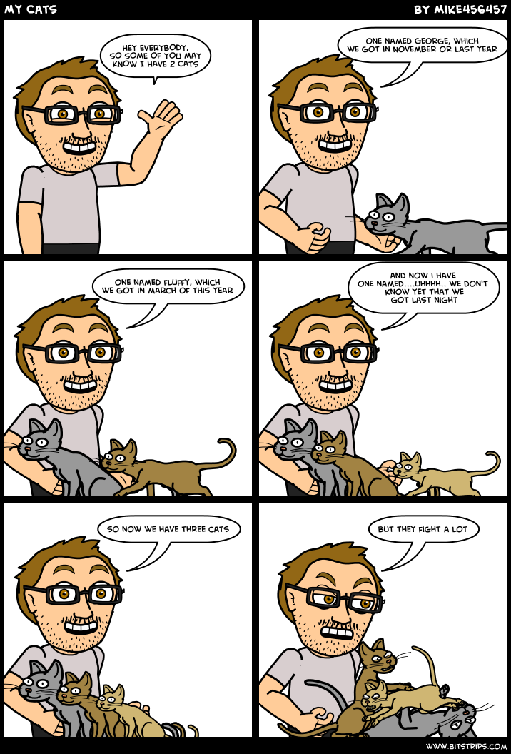 My Cats