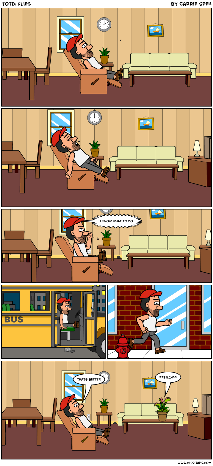 Totd: flies