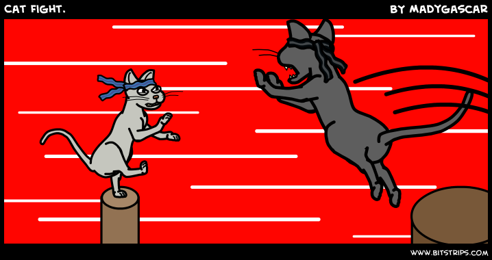 Cat Fight.
