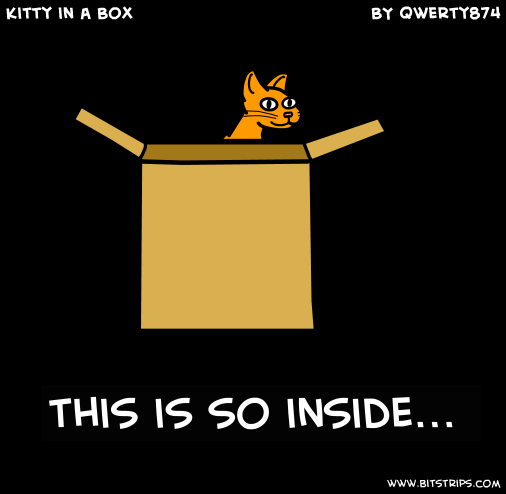 Kitty in a Box