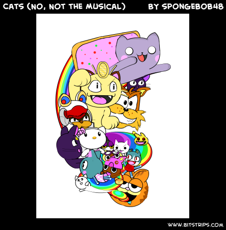 Cats (No, Not the Musical)