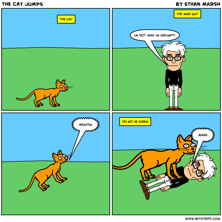 the CAT JUMPS