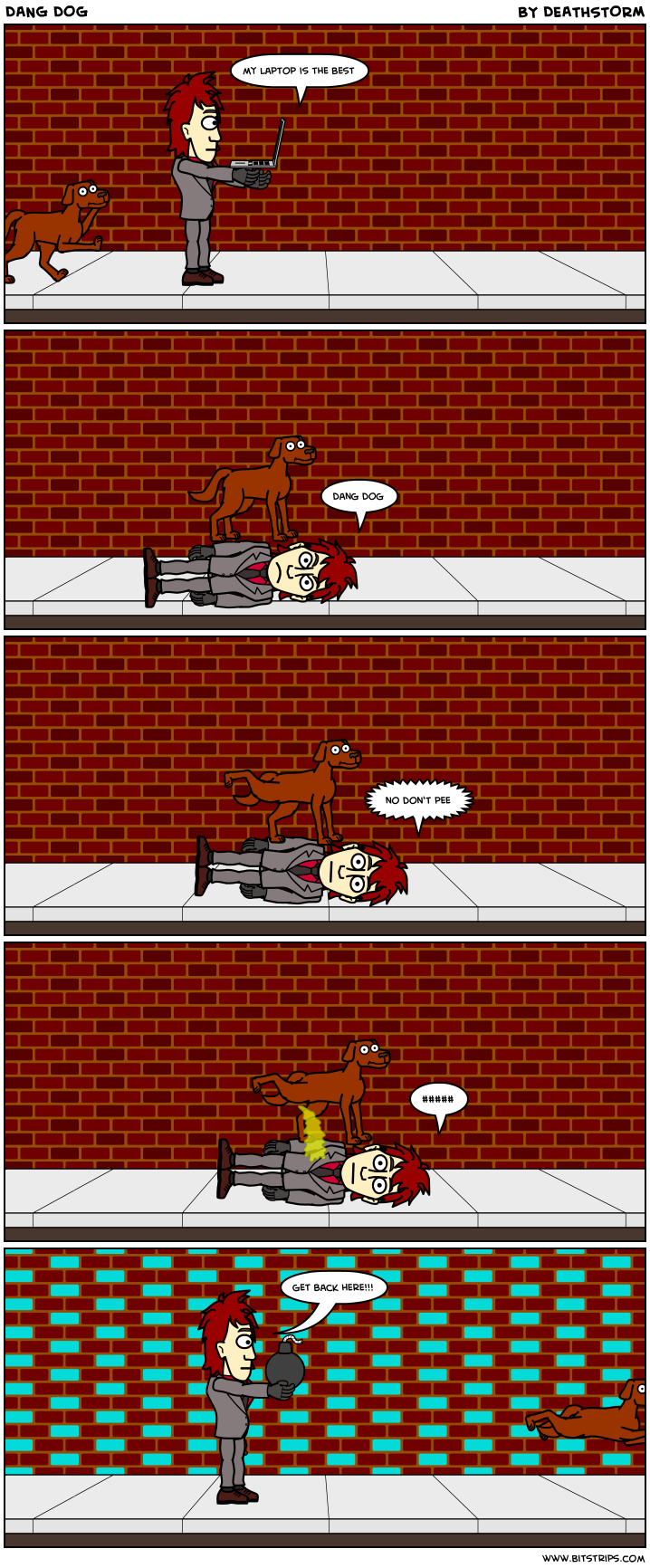 DANG DOG