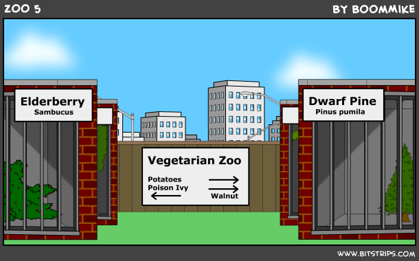 ZOO 5