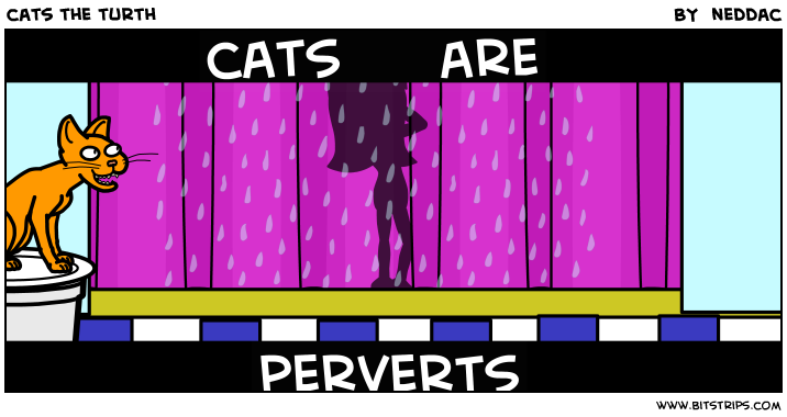 cats the turth