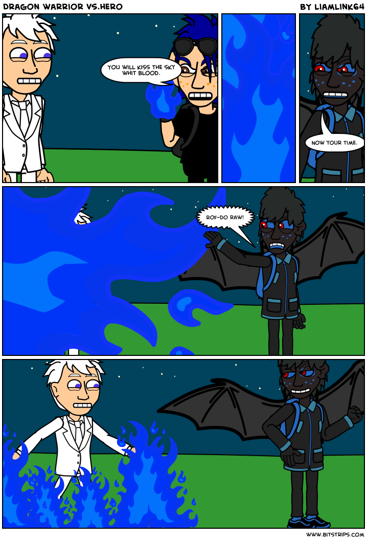 Dragon warrior vs.hero