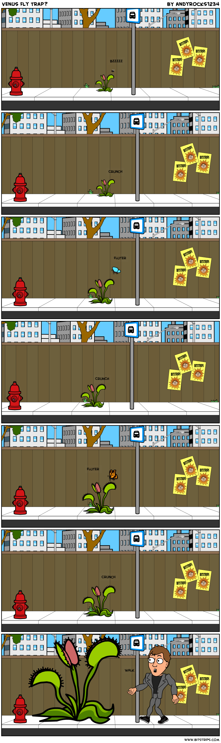 Venus Fly Trap?