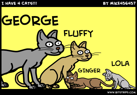 I HAVE 4 CATS!!!