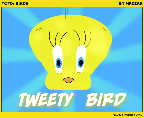 TotD: Birds