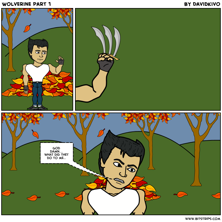 Wolverine part 1