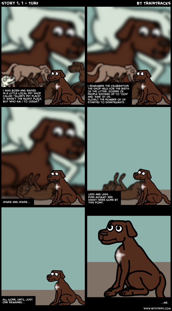 Story 1, 1 - Turf