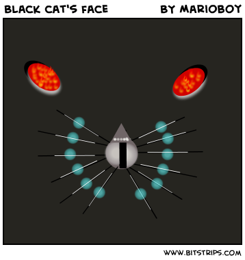 Black cat's face