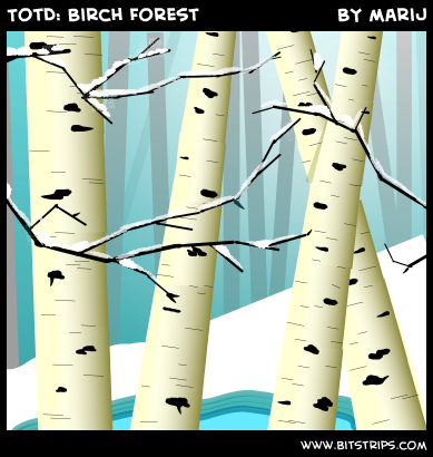 TotD: Birch Forest
