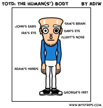 TotD: The Human(s') Body