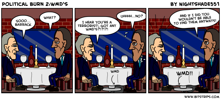 Political Burn 2:WMD's