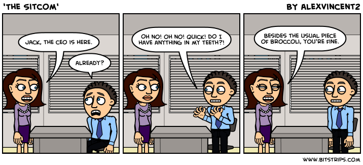 'The Sitcom'