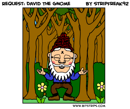 Request: David The Gnome