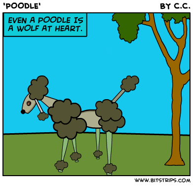 'POODLE'