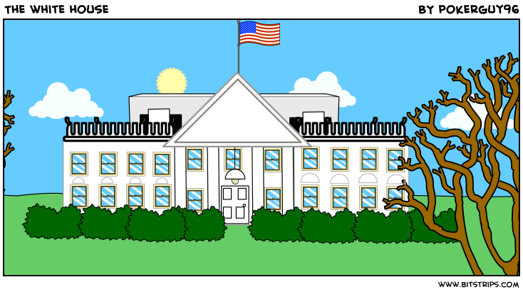The white house