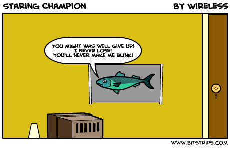 Staring Champion