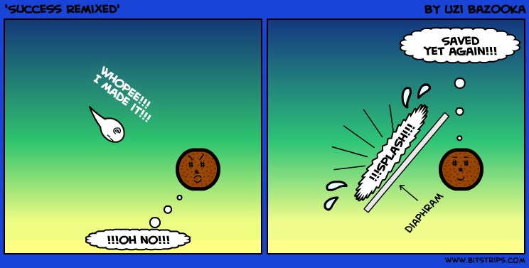 'Success Remixed'
