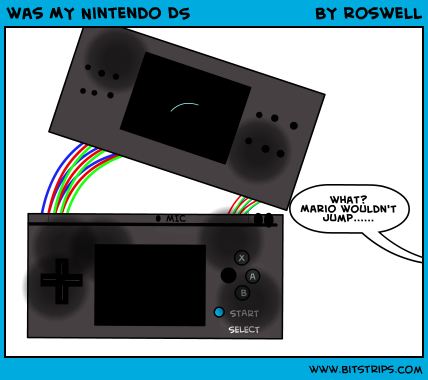 was MY Nintendo DS