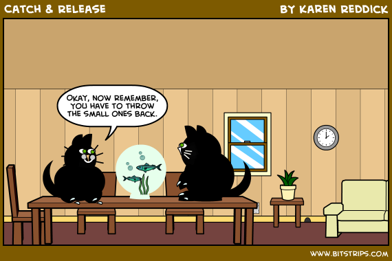 Catch &amp; Release