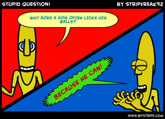 Stupid Question!