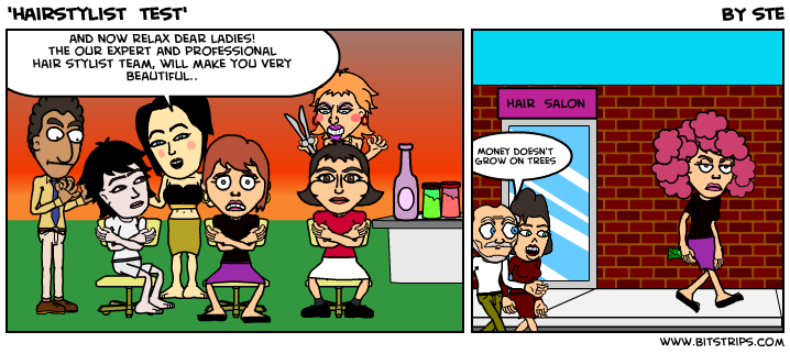 'hairstylist  test'
