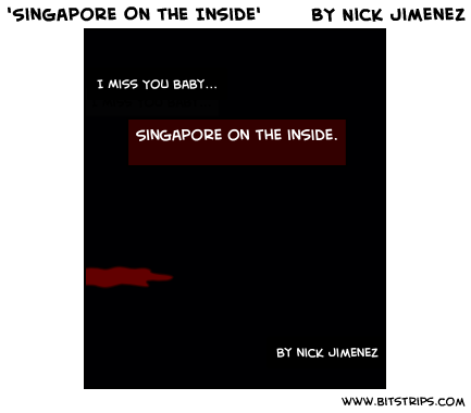 'Singapore On the Inside'