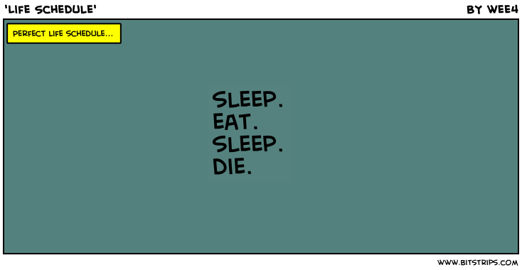 'Life Schedule'