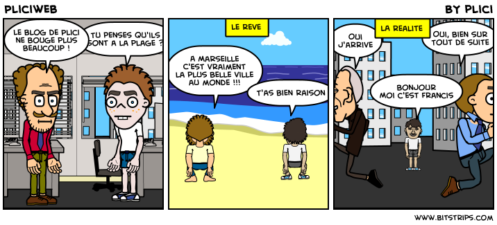 Pliciweb