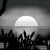 TotD: SUNSET.2.