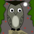 Animals at Night