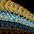 trippy, man, trippy!