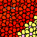 'Flowerbed'