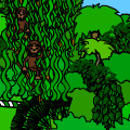 Monkeys